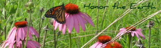 Honor the Earth