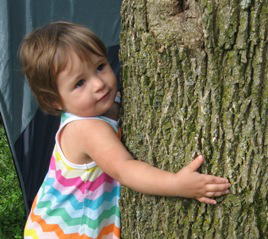 Hug a Tree Hug a Tree